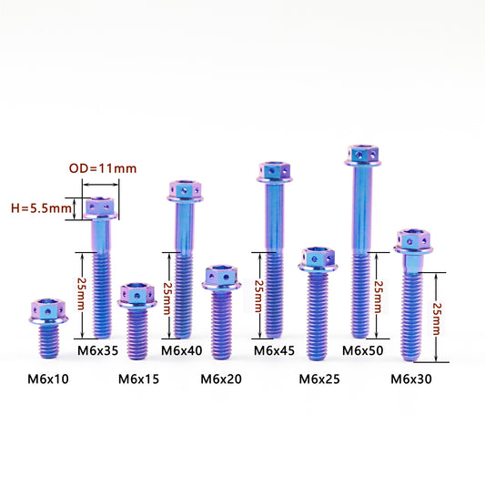 Titanium Bolts Hex Flange Head with Hole M6
