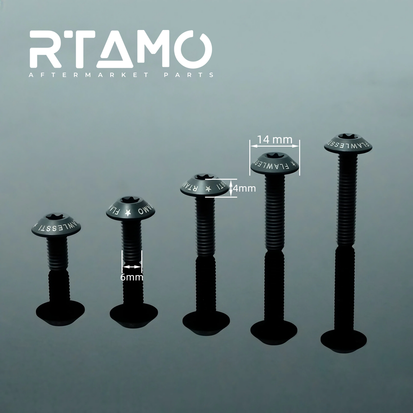 Titanium Bolt M6 Umbrella Torx Matte Sandblasted Screw