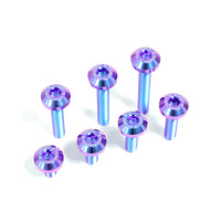 Titanium Bolt M6 Umbrella Hex Socket Head