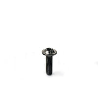 Titanium Bolt M6 Torx Head