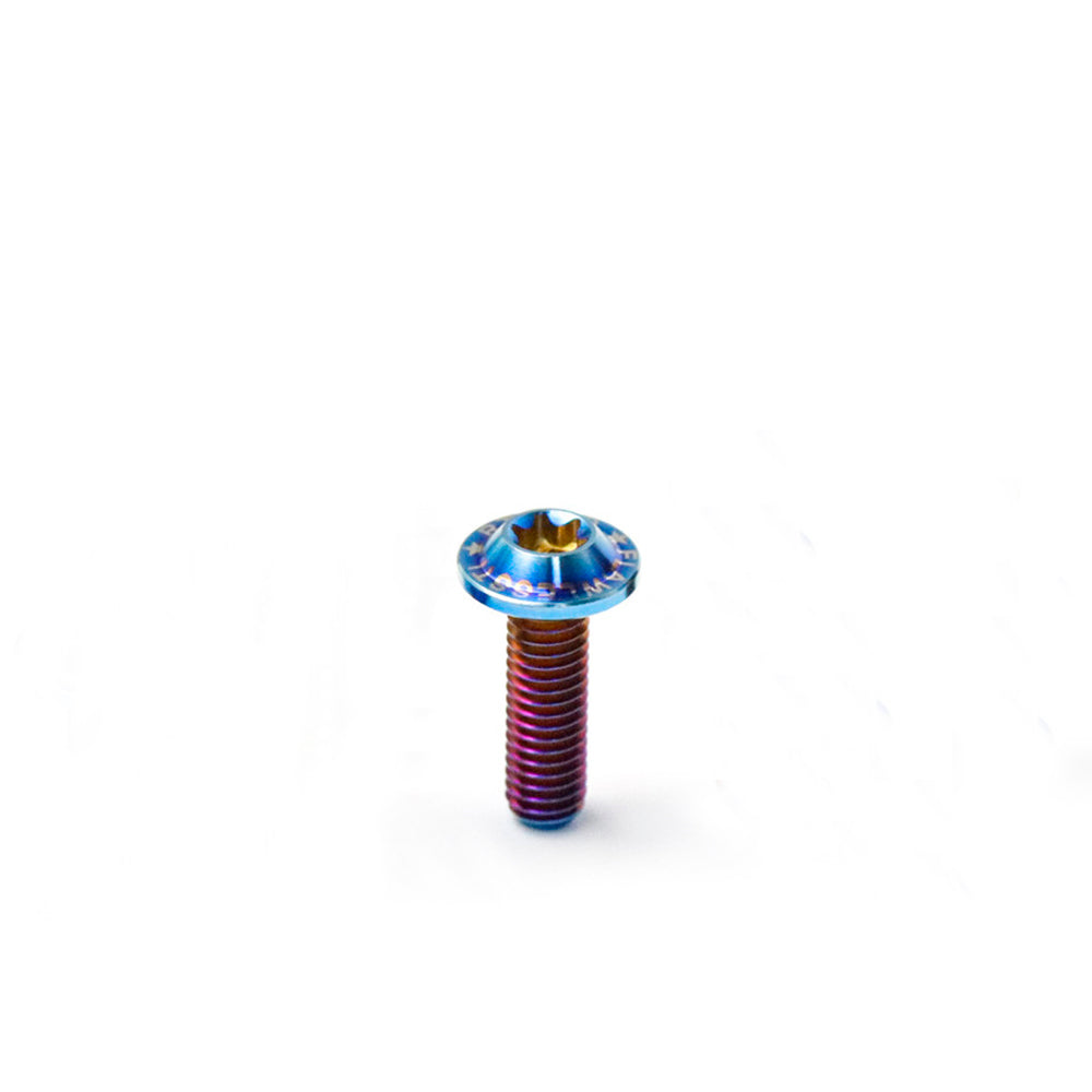 Titanium Bolt M6 Torx Head