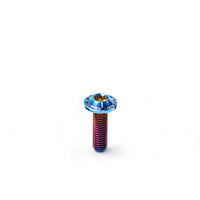 Titanium Bolt M6 Torx Head