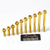 RTAMO Titanium Bolt M6 Flange Torx Head
