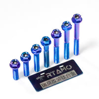 RTAMO Titanium Bolt M6 Flange Torx Head
