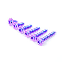 Titanium Bolt M6 Self-Tapping Screw