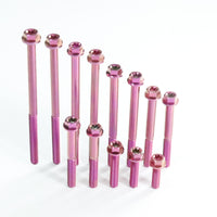 RTAMO Titanium Bolt M6 Flange Torx Head