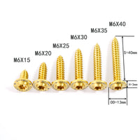 Titanium Bolt M6 Self-Tapping Screw