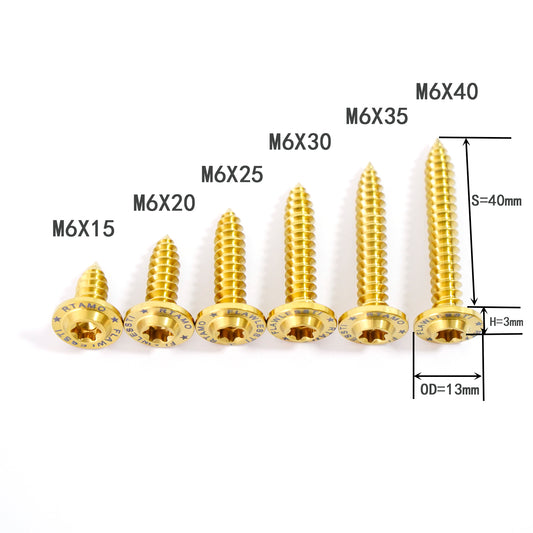 Titanium Bolt M6 Self-Tapping Screw