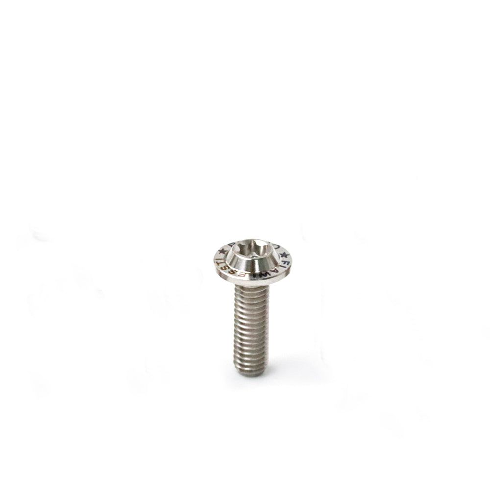 Titanium Bolt M6 Torx Head