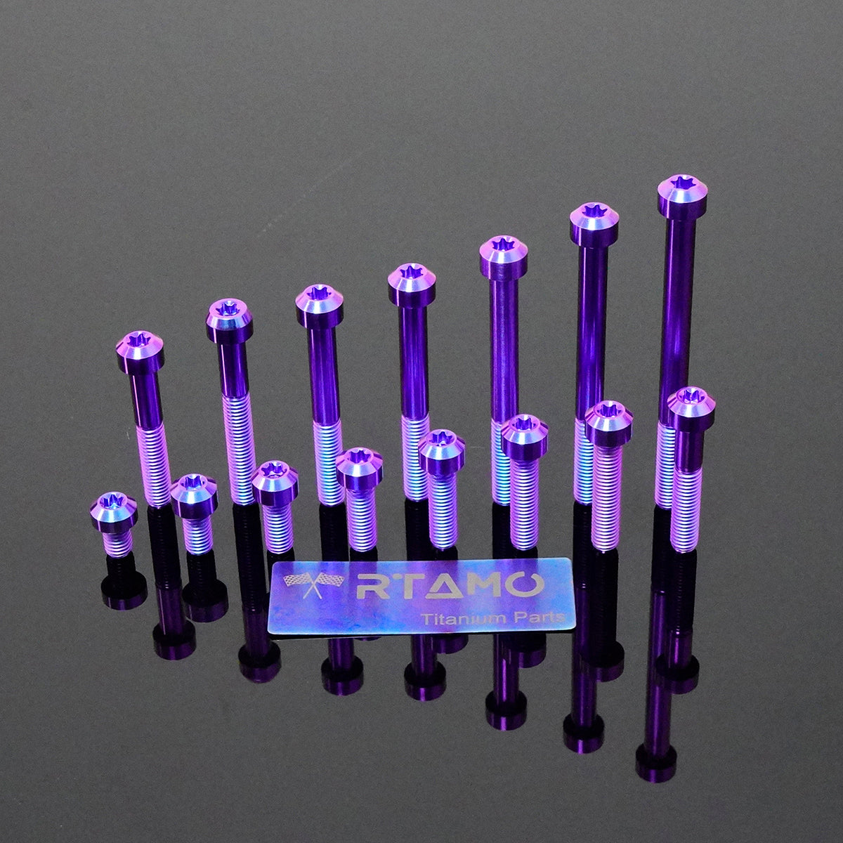 Titanium Bolt M8 Torx Head Chamfered Screw