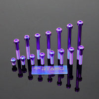 Titanium Bolt M8 Torx Head Chamfered Screw