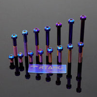 Titanium Bolt M8 Torx Head Chamfered Screw