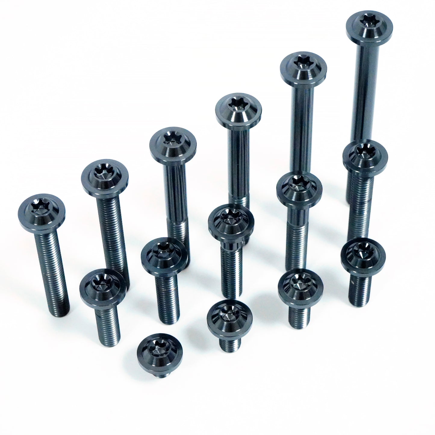 Titanium Bolt M8 Torx Disc Head