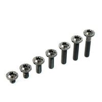 Titanium Bolt M8 Torx Head