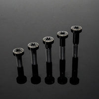 Titanium Bolt M8 Torx Pan Head T40