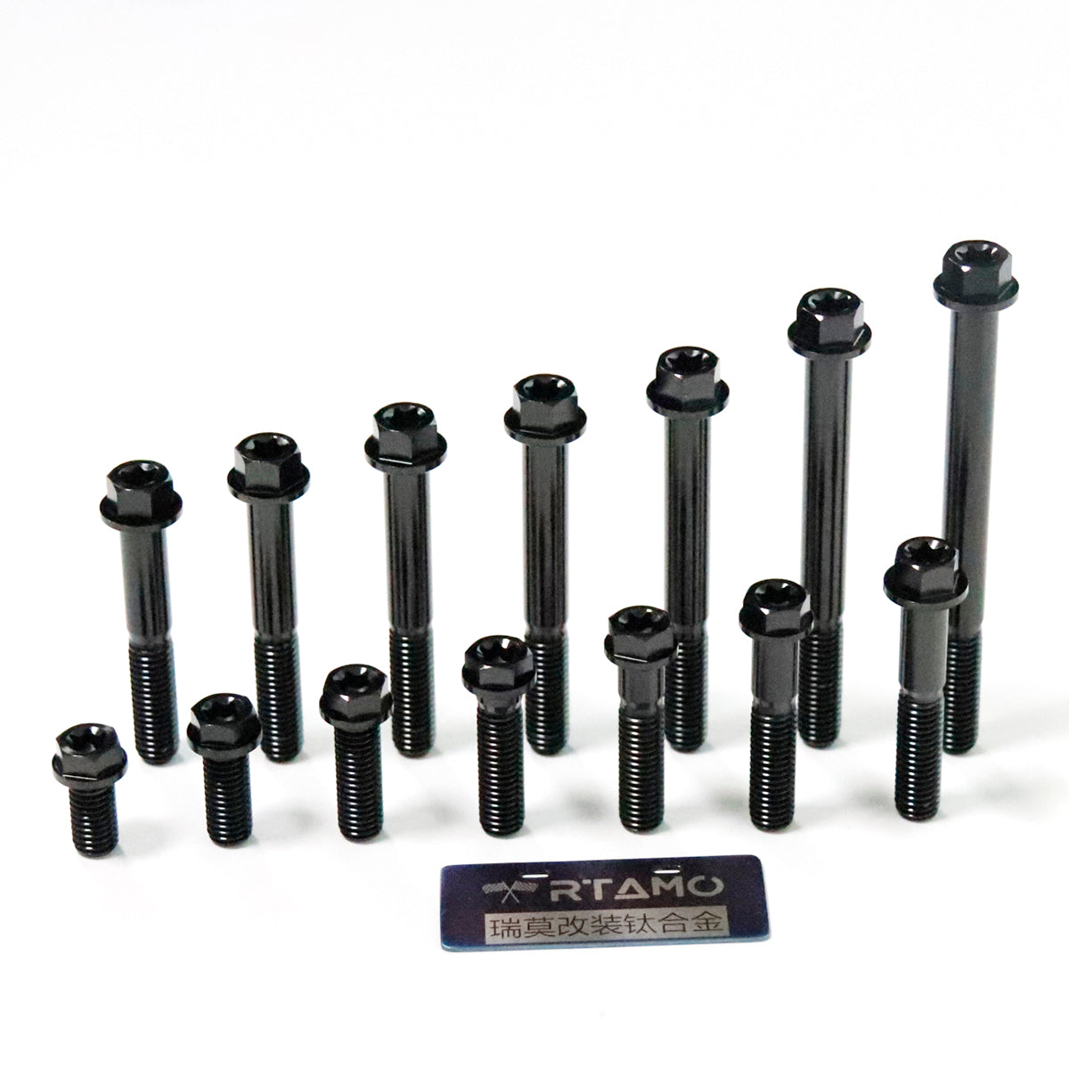 Titanium Bolt M8 Dual-Drive Flange Torx Head