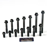 Titanium Bolt M8 Dual-Drive Flange Torx Head