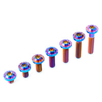 Titanium Bolt M8 Torx Head