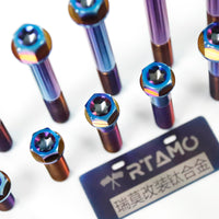 Titanium Bolt M8 Dual-Drive Flange Torx Head