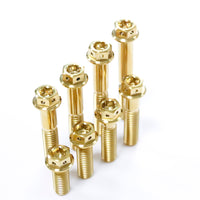 RTAMO Titanium Flange Head with Hole Bolt M8