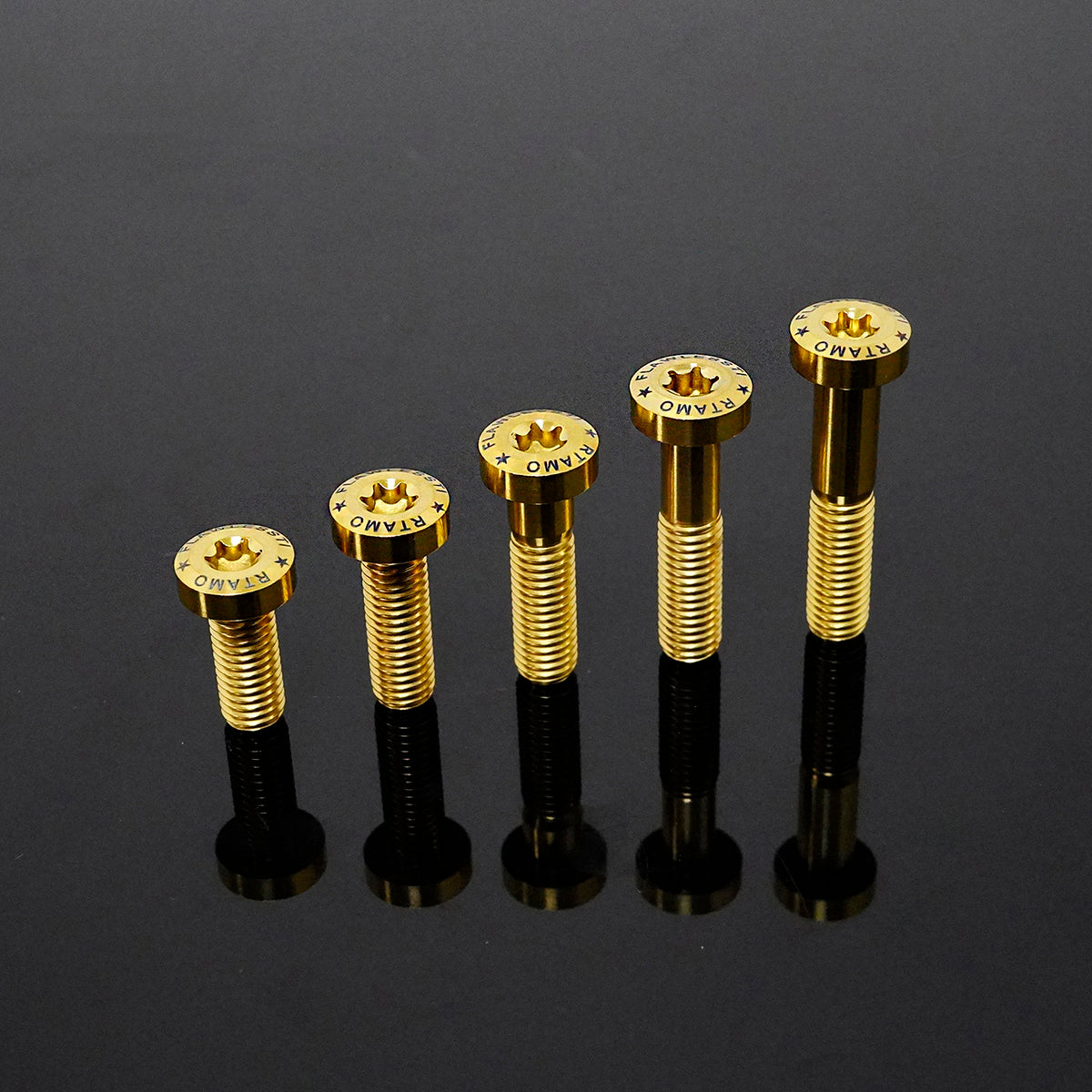 Titanium Bolt M8 Torx Pan Head T40