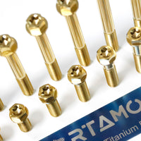 Titanium Bolt M8 Dual-Drive Flange Torx Head