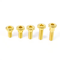 Titanium Hex Socket Head Step Bolt M8