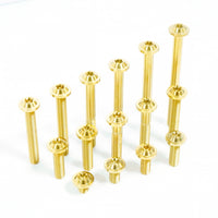 Titanium Bolt M8 Torx Disc Head