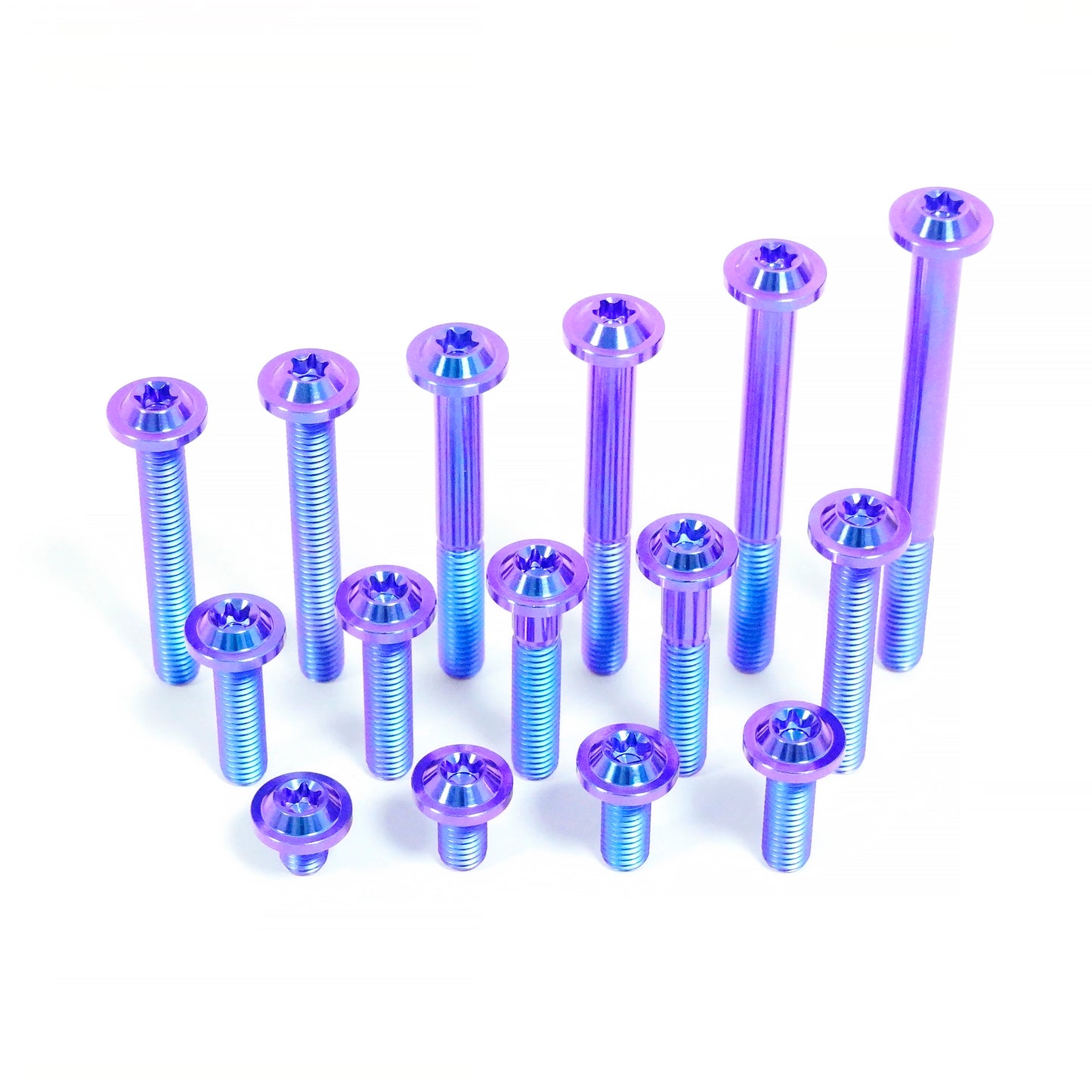 Titanium Bolt M8 Torx Disc Head