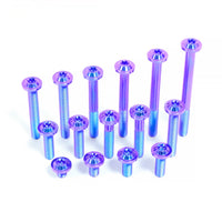Titanium Bolt M8 Torx Disc Head