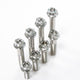 RTAMO Titanium Flange Head with Hole Bolt M8