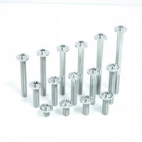 Titanium Bolt M8 Torx Disc Head