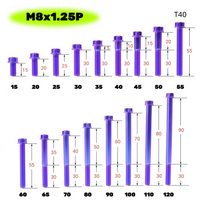 Titanium Bolt M8 Torx Head(OD=13)