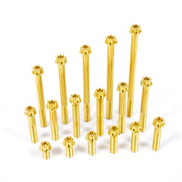 Titanium Bolt M8 Torx Head(OD=13)