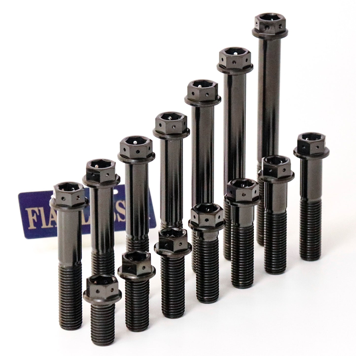 Titanium Bolt M10 Hex Flange with Hole