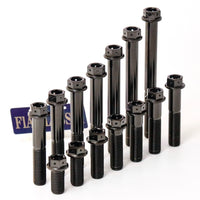 Titanium Bolt M10 Hex Flange with Hole