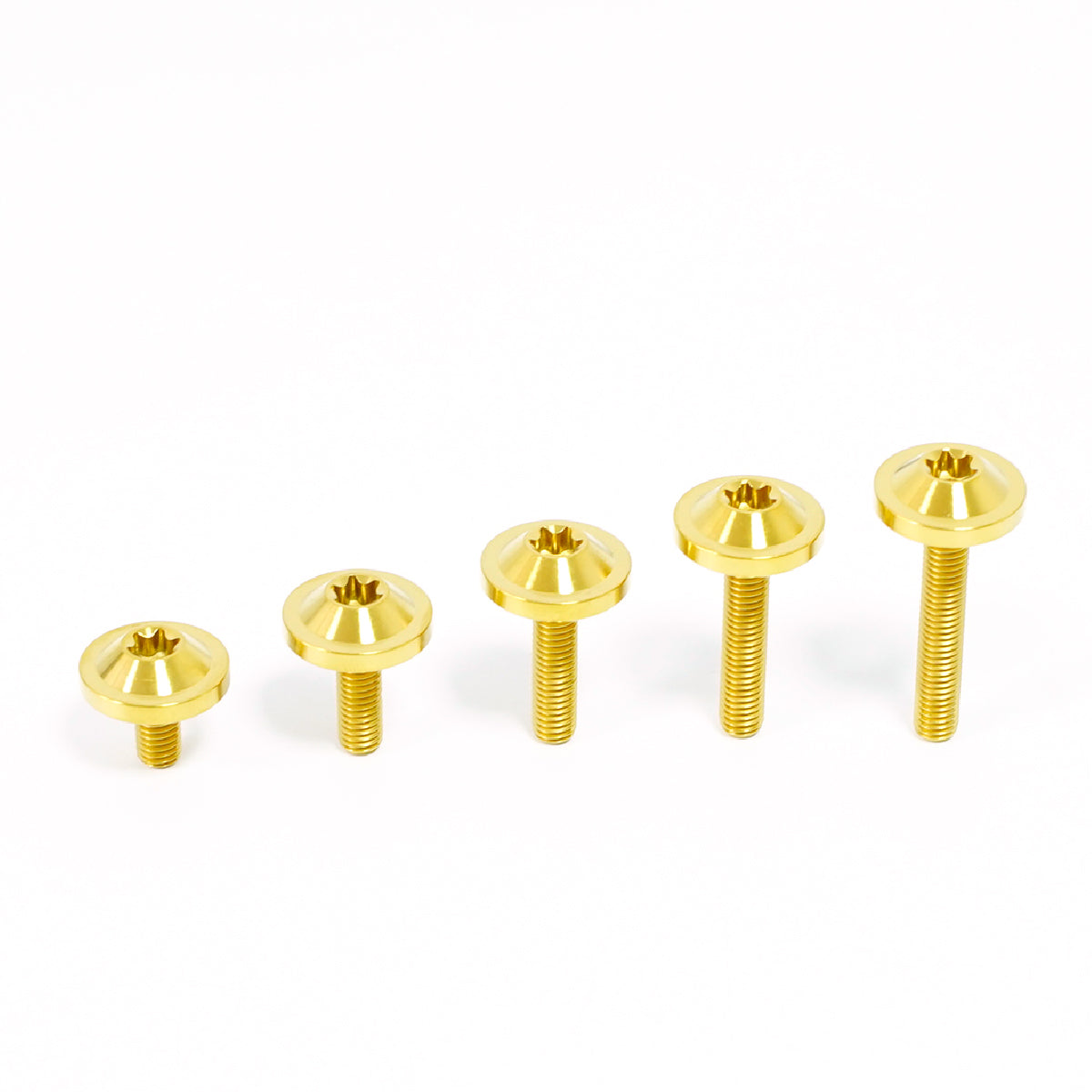 Titanium Bolt UFO Torx Head M5