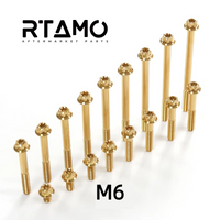 Titanium Bolt M6 Torx Head(OD=12)