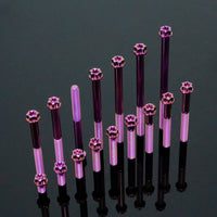 Titanium Bolt M6 Torx Head(OD=10.5)