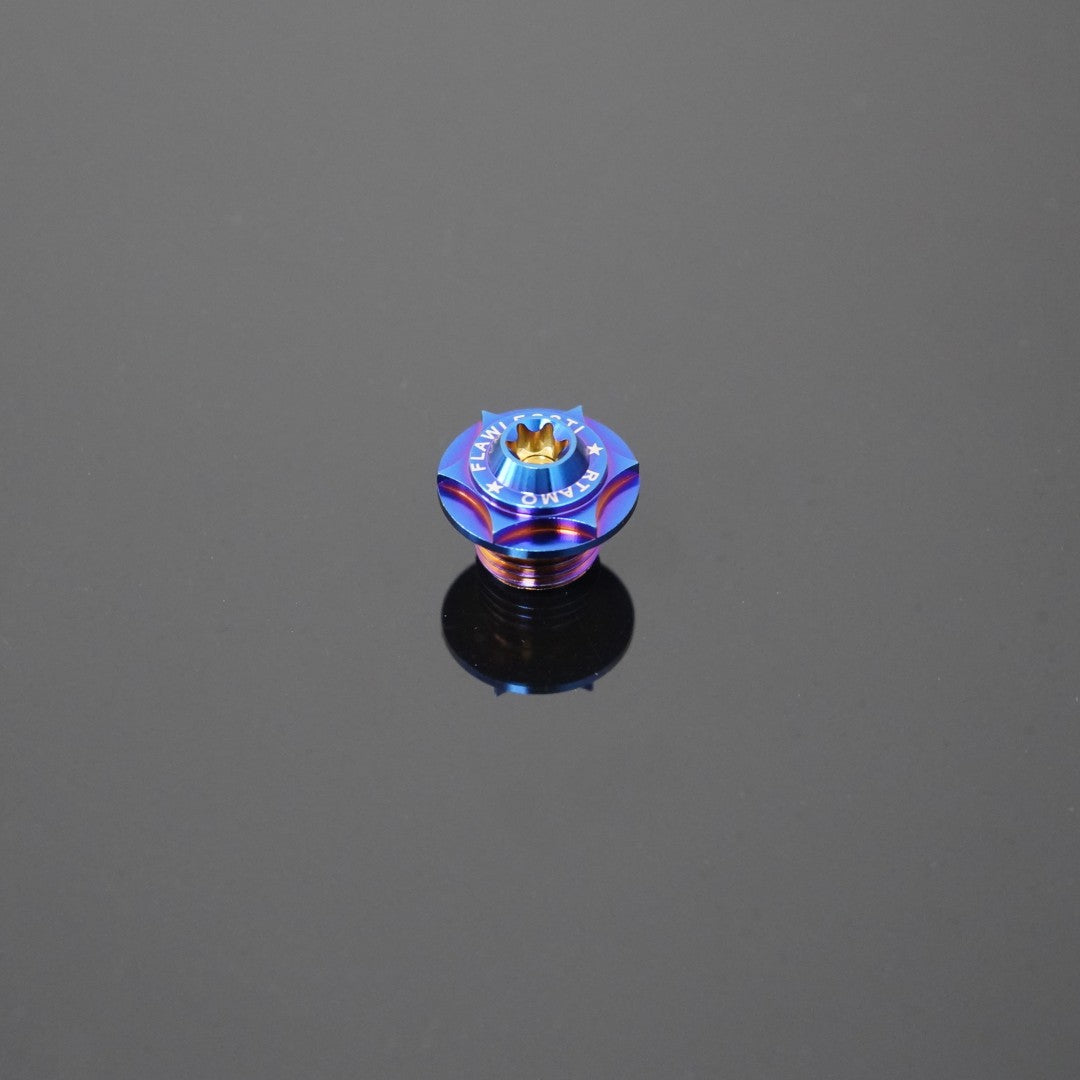 Titanium Engine Oil Bolt M16 for KTM390