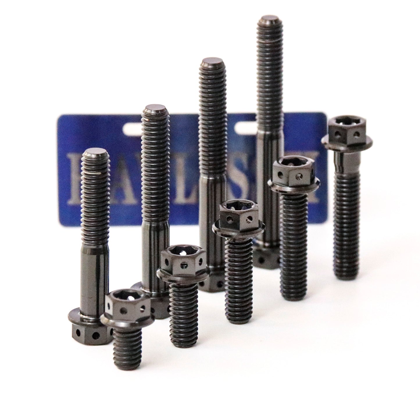 Titanium Bolts Hex Flange Head with Hole M6