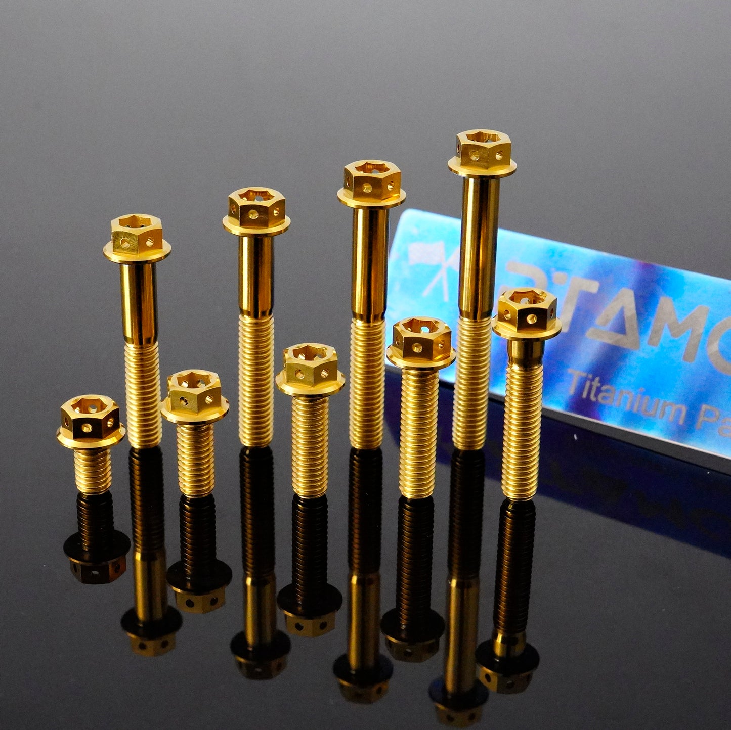 Titanium Bolts Hex Flange Head with Hole M6