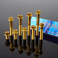 Titanium Bolts Hex Flange Head with Hole M6