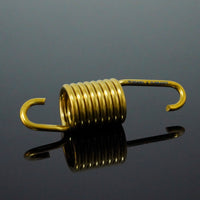 Titanium Center Springs for Cygnus