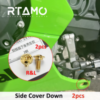 Titanium Bolt Set Fit for Kawasaki ZX-10R